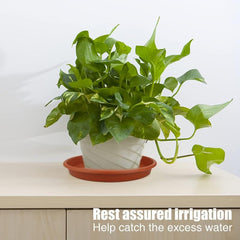 3pcs Terracotta Plastic Plant Saucer Plant Tray Flower Plant Pot Saucer