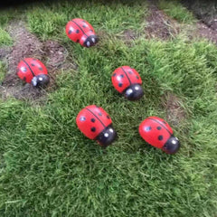 10pcs Garden Ladybug Lawn Ornaments