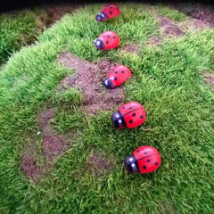 10pcs Garden Ladybug Lawn Ornaments