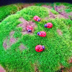 10pcs Garden Ladybug Lawn Ornaments