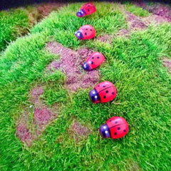 10pcs Garden Ladybug Lawn Ornaments