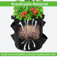 2 Pack Strawberry Grow Bags, 8 Pockets, Re-usable Vertical Planting, Non-woven