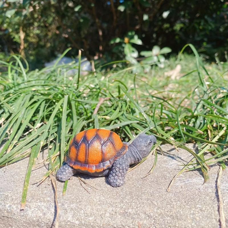 Resin Turtle Ornament for Succulent Mini Landscape Sea Turtles Toy