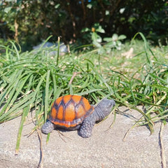 Resin Turtle Ornament for Succulent Mini Landscape Sea Turtles Toy