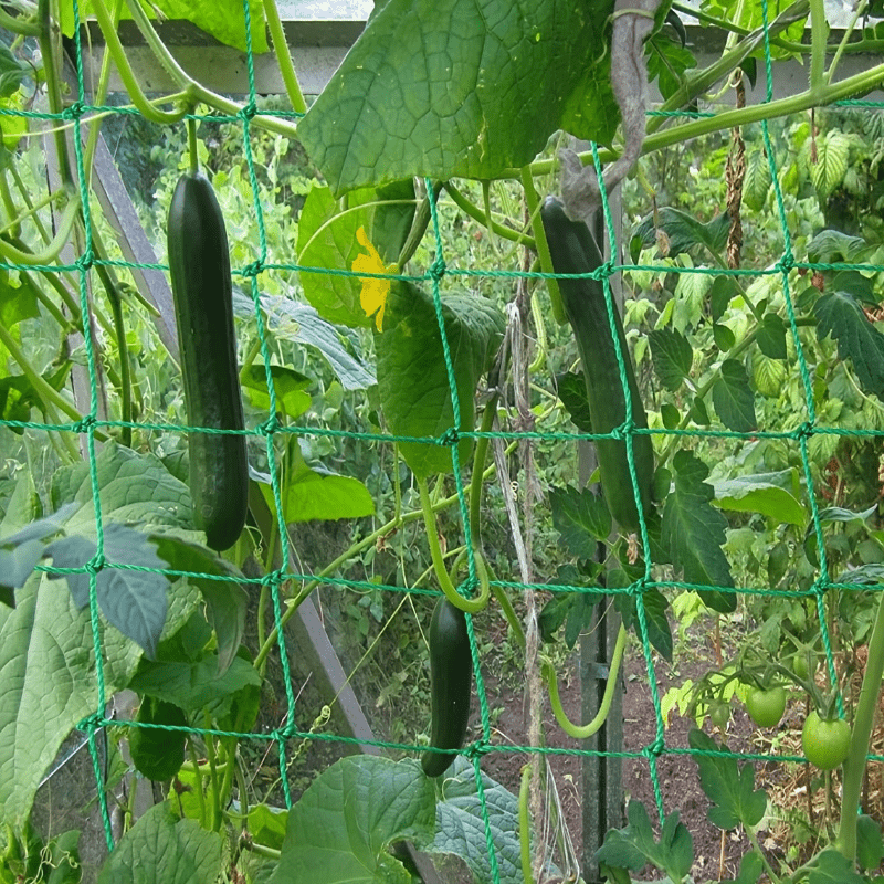 Plant Climbing Net 179 89 Trellis Netting For Climbing Plants