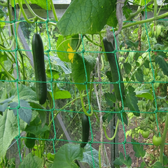 Plant Climbing Net 179 89 Trellis Netting For Climbing Plants