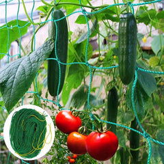 Plant Climbing Net 179 89 Trellis Netting For Climbing Plants