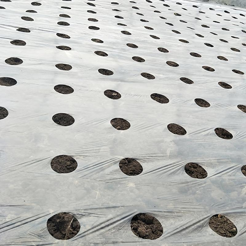 Weed Control Barrier Film Mulching Breathable Gardening Farming Landscape Sheet