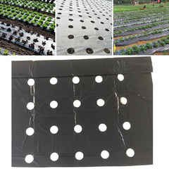 Weed Control Barrier Film Mulching Breathable Gardening Farming Landscape Sheet