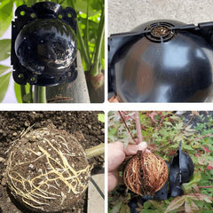 10pcs Root Growing Box Tree Rooter Air Layering Assisted Cutting Rooting Propaga
