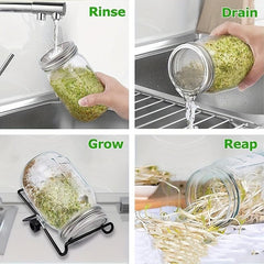 Stainless Steel Mesh Lid Sprouting Kit for Homegrown Sprouts