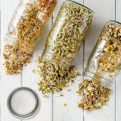 Stainless Steel Mesh Lid Sprouting Kit for Homegrown Sprouts