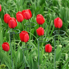 5pcs Potted Plant Support Rack Flower Vegetable Vine Climbing Bracket Balcony