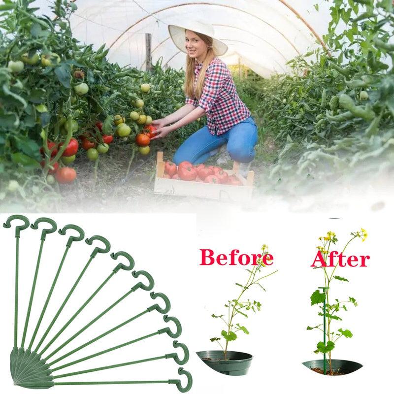 5pcs Potted Plant Support Rack Flower Vegetable Vine Climbing Bracket Balcony
