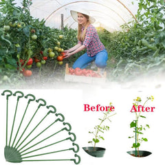 5pcs Potted Plant Support Rack Flower Vegetable Vine Climbing Bracket Balcony