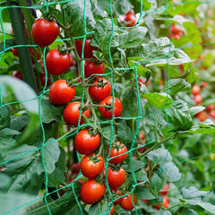 Outdoor Garden Trellis Netting for Climbing Plants