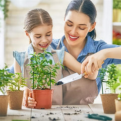 Plastic Support Pile Stand for Flowers Greenhouses Arrangement Fixing Rod Holder