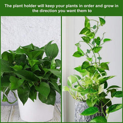 20pcs Plant Climbing Wall Fixture Clips With 20 Adhesive Sticker