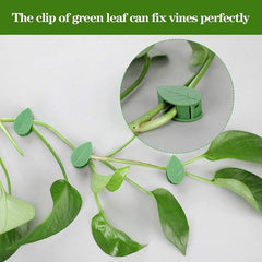 20pcs Plant Climbing Wall Fixture Clips With 20 Adhesive Sticker