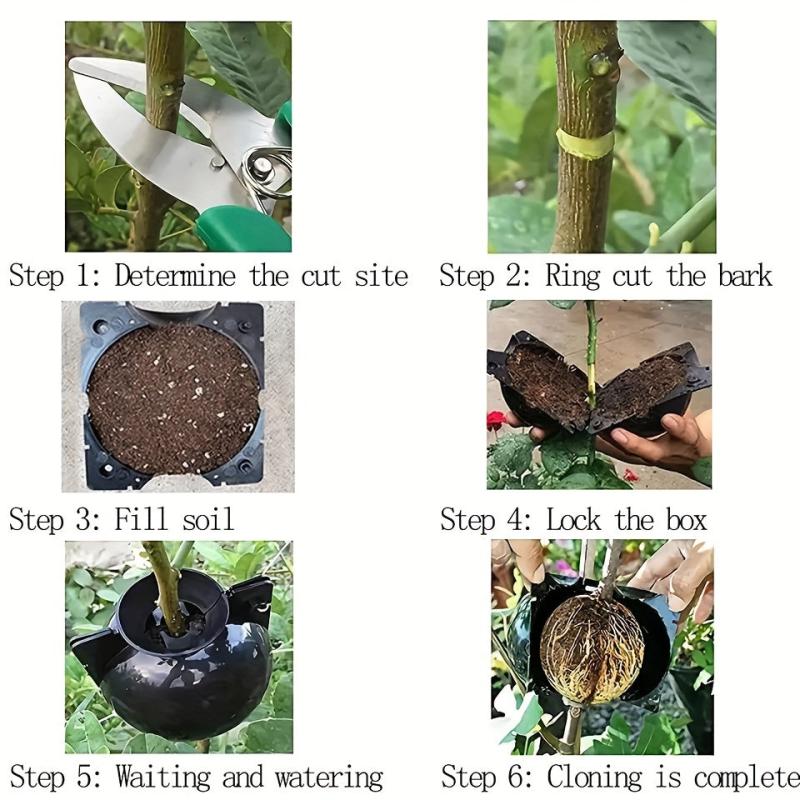 5pcs Reusable Plant Rooting Device High Pressure Propagation Ball