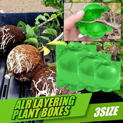 5pcs Reusable Plant Rooting Device High Pressure Propagation Ball
