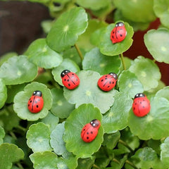 50pcs Wooden Ladybug Insect Craft Decor for Garden Plant Outdoor