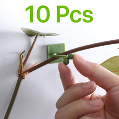 10pcs Garden Wall Plant Climber Vine Support Clips Self Adhesive