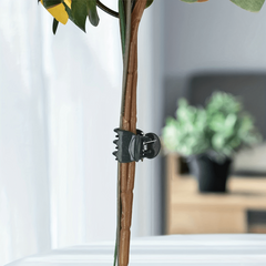 10pcs Plant Clips Orchid Clips for Supporting Stems Vines