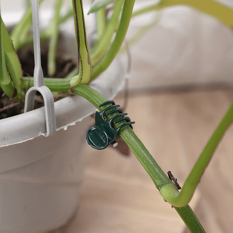 10pcs Plant Clips Orchid Clips for Supporting Stems Vines