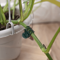 10pcs Plant Clips Orchid Clips for Supporting Stems Vines