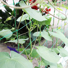 Nylon Garden Net for Plants Climbing Vine Flowers