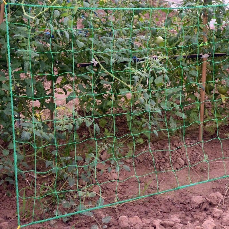 Nylon Garden Net for Plants Climbing Vine Flowers