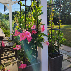 Tower Obelisk Garden Trellis Plant Support for Vines & Flowers