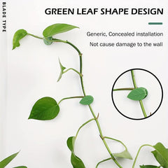 10pcs Plant Climbing Wall Fixture Clips Self adhesive Plant Fixing Hook