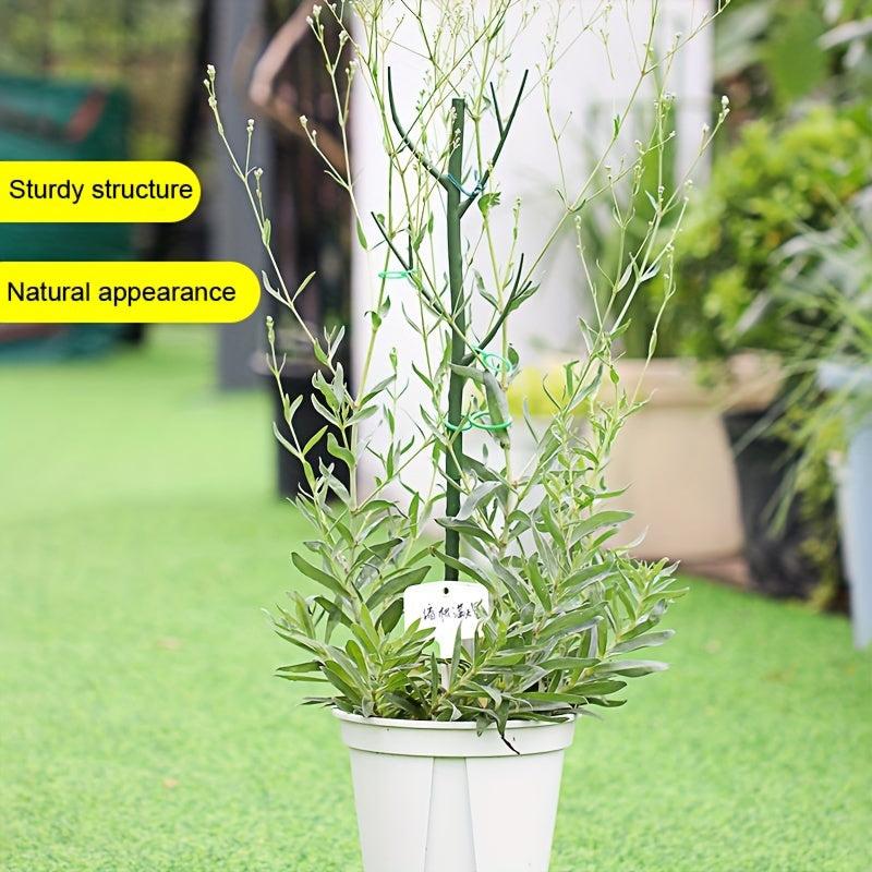 Plant Support Stakes Set 69 Stakes Blends Plant Plant Sticks Climbing