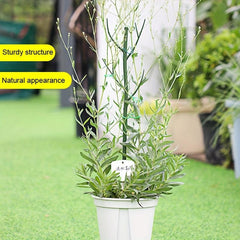 Plant Support Stakes Set 69 Stakes Blends Plant Plant Sticks Climbing