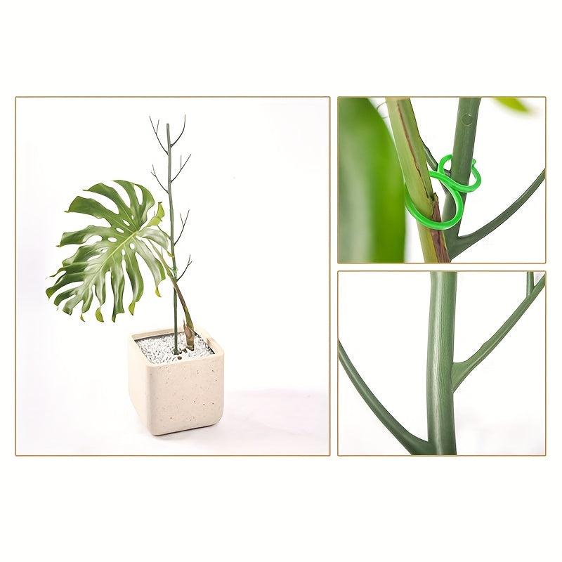Plant Support Stakes Set 69 Stakes Blends Plant Plant Sticks Climbing