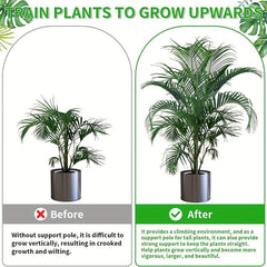 Plant Support Stakes Set 69 Stakes Blends Plant Plant Sticks Climbing