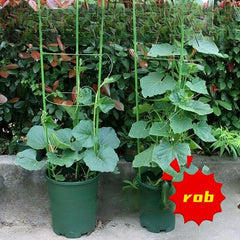 3pcs Universal Flower Holder Support Rod Crab Claw Lotus Holder