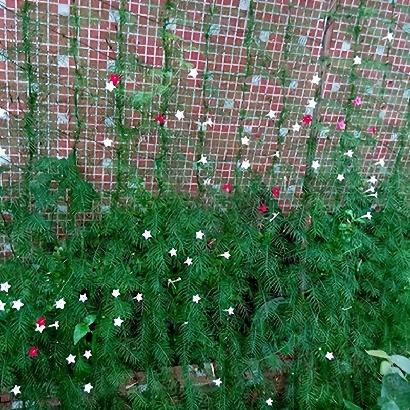 Garden Plant Trellis Netting for Climbing Plants 0.9x1.8m
