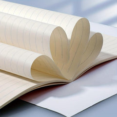 4 Pack A5 & B5 Notebooks 36 Sheets Office & Sketching