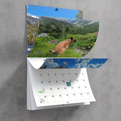 Funny Dog Poop Calendars for Friends