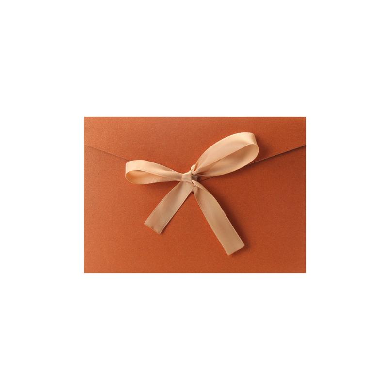 Retro Thickened Large Bowknot Pearlescent Paper Envelopes