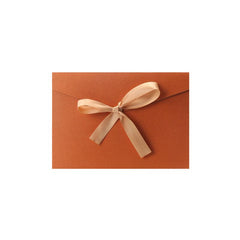 Retro Thickened Large Bowknot Pearlescent Paper Envelopes