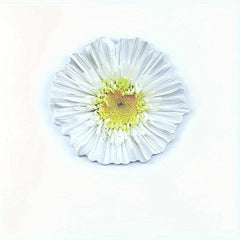 25 Sheets 3D Flower Stickers - Office, Study, Home Decoration