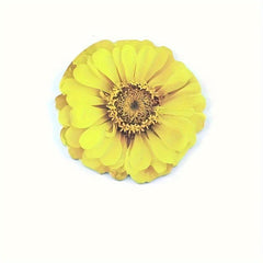 25 Sheets 3D Flower Stickers - Office, Study, Home Decoration