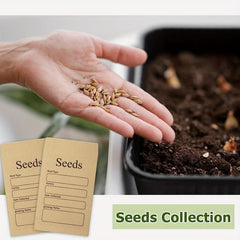 20pcs Small Self Adhesive Seed Storage Envelopes 8x11.9