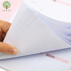 9 5 7 8in Spiral Desk Pad Daily Schedule Notebook