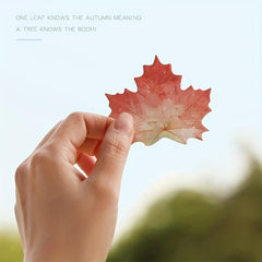 1pc Various Leaves Collection Self Adhesive Memo Pad Sticky Notes
