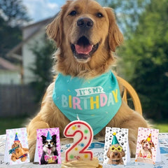 12pcs Dog Party Favors Mini Notebooks Animal Themed Birthday Supplies